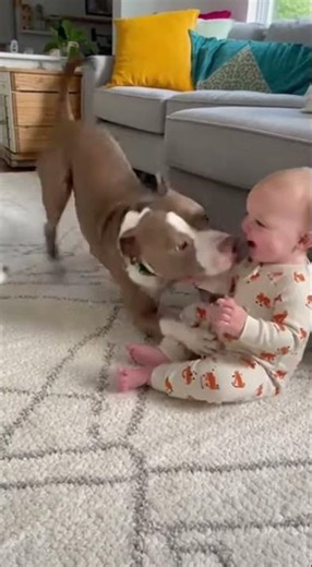Playful Pitbull, Tiny Pup & Laughing Baby | Cutest Backyard Moment Ever! 🐶👶☀️