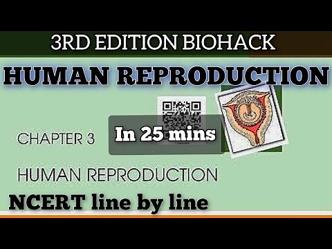 CH3 HUMAN REPRODUCTION (BIOHACK) in 25 mins|ONE SHOT🔥| NCERT line by line |NEET|Class 11|