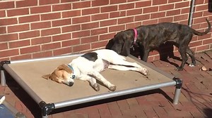 Shutdown of AmazonSmile affects local charities