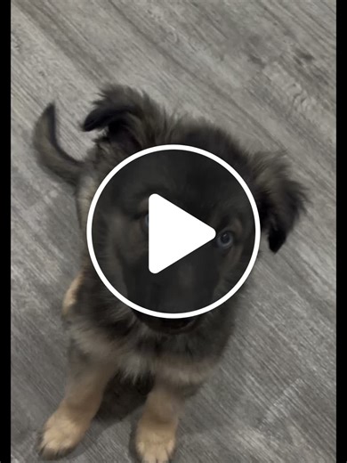 How do I add music or I can’t - NewsBreak