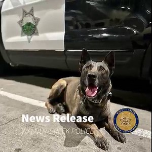 1.9K views · 193 reactions | Walnut Creek Police Arrest Residential...