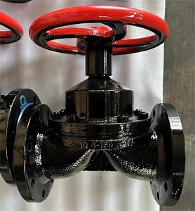 [Hot Item] En Standard Lined Fluoroplastic Diaphragm Valve
