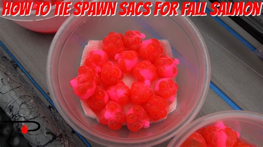 🎣 Most anglers use spawn sacs for steelhead... but you're missing out if you're not using them for fall salmon in the Great Lakes! 💥 We hit the water with Capt. Thane Herbert of Fish Lucky Charters to learn how he ties killer egg sacs that crush big kings. 🐟🔥 📺 Watch the full episode of Pautzke Outdoors now! | Pautzke Bait Company