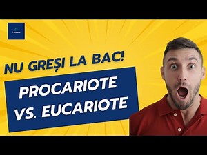 Biologie pentru Bacalaureat | Celula procariotă și celula eucariotă