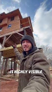 I Let My Followers Help Me Build A Treehouse