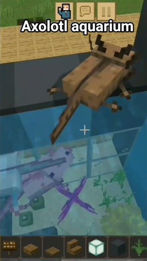 Axolotl aquarium#crafting and building