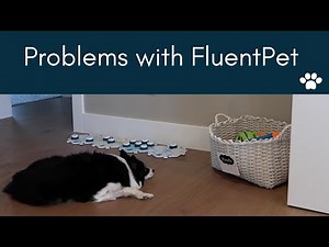 Problems with FluentPet