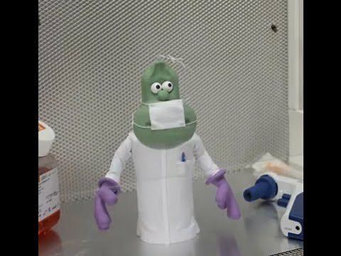 Life of Cells - The Vero Cell