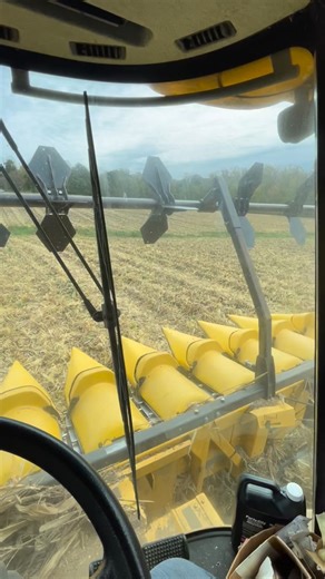 Corn Harvest! #peterfamilyfarms #farm #indiana #corn #agriculture #soybeans #familyfarm #tractor | peter_family_farms