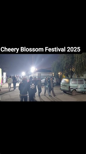 Cheery Blossom Festival 2025 #foryoupage #friends #foryou 🌸💖🎉💃🏻🌹🎊😍 | Dominik Bhoi