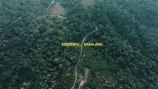 Aranyani on Instagram: "On this land, farming is not about clearing space, but about sharing it. Coffee grows under shade, crops live alongside native trees, and experiments are shaped by patience rather than profit. When our team traveled to Nagaland, this is what we witnessed—small, local trials asking a bigger question: what if agriculture worked with the forest, instead of replacing it? 🎥 @paraffinfilms"