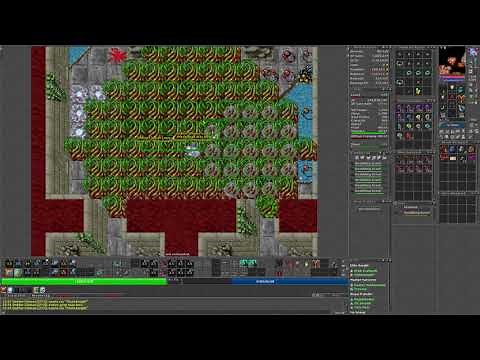275 ED - 6.3kk/hr-(Spot:Deathlings)- Duo - Tibia