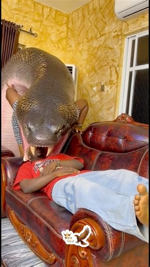 The Python Girl | Nze West Tv