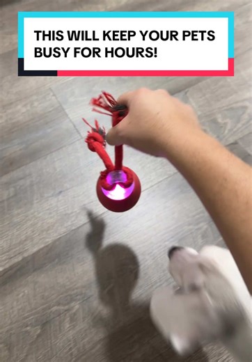 Interactive Motion Sensor Ball Toy for Pets