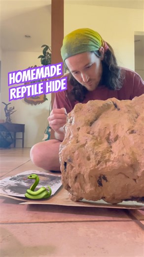 My Rattlesnake Loves the hide I made him! 🐍 #snakes #reptiles