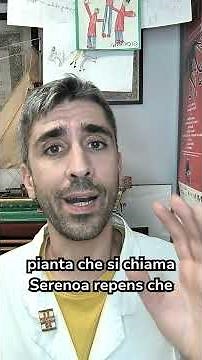 Integratori per la prostata: attenzione alla qualità! 🌿