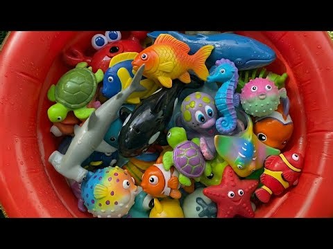 Learn Sea Animals Names for Kids: Clownfish Starfish Lobster | Sea Animals Toys