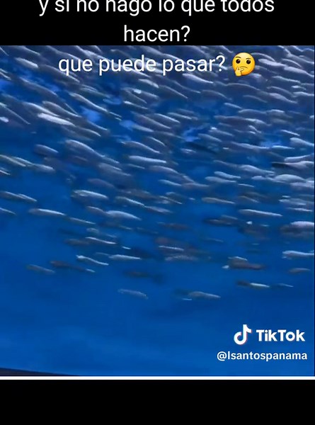 #vive #libre #motivation | Bitter Sweet Symphony