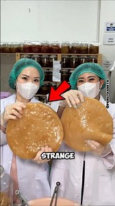 KOMBUCHA Under The MICROSCOPE 😱