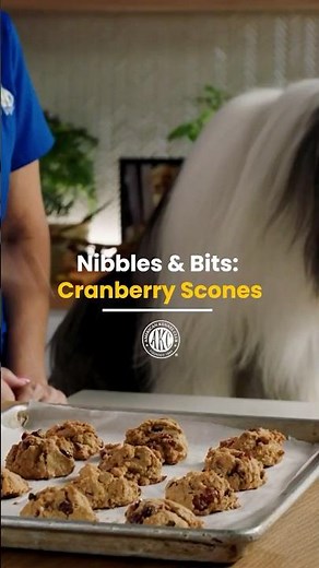 Cranberry Scones Your Dog Will Love