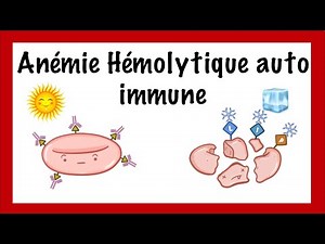Anémie hémolytique auto-immune