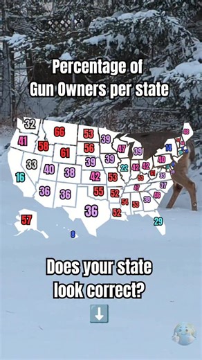 🔫 Gun ownership by state Mountain West Alaska trend high; Northeast (plus HI/NJ) trend low. Does your state track? 💬 What drives the number—hunting culture, laws, urban/rural mix? 📝 Think a figure’s off? Tell me why and drop your take. 👍 Like & follow for more map breakdowns. | Mike Layne