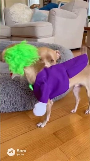 My Dog's Reaction To AI Generated Monsters Was Insane #AIGenerated #DogReactions