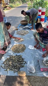 frees fish market | Daily Fishing Life
