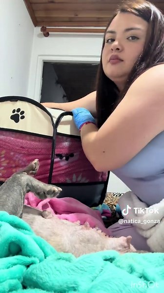 Natalia Gonzalez ♥️ (@natica_gonza) - Este proceso ha sido hermoso ❤️🐶 y trasnochador 🥹🫩❤️#bulldogfrances #crianza #bebes #amor #cachos