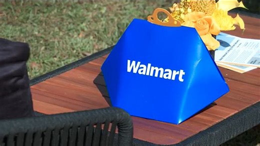 Walmart launches metro Atlanta’s first drone delivery service