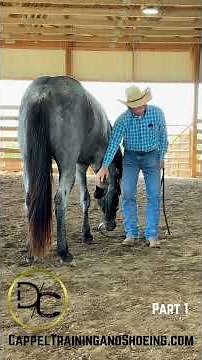 Picking Feet Up Part 1