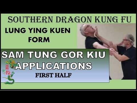 SOUTHERN DRAGON KUNG FU (LUNG YING KUEN) - APPLICATIONS OF THE FIRST HALF OF SAM TUNG GOR KIU FORM