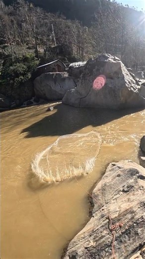 Muddy water fishing under golden sun reflection! #netfishing #castnetfishing #shorts #fishing