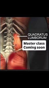 QL Masterclass — Deepen Your Understanding of the Body’s Core Stabilizer The Quadratus Lumborum (QL) is one of the most influential — and misunderstood — muscles in the body. This masterclass explores its anatomy, function, and impact on posture, movement, and pain patterns. You’ll learn how to: • Identify and assess QL dysfunction • Apply targeted release and stretch techniques • Build strength and stability through progressive activation • Integrate QL awareness into full-body movement Perfect
