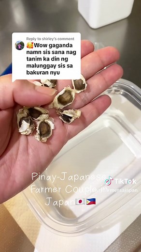 おすすめのアカウント