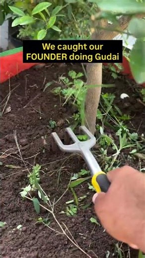 Gudai Explained: Secret to Faster Plant Growth 🌿