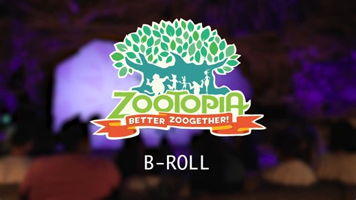 1.3K views | Tonight we have for you a preview of the actual show that is coming on November 7 in Disney's Animal Kingdom at Walt Disney World in Florida. This is Zootopia Better Zoogether. I think this is going to be quite popular. It looks like a really fun 3d Show for the whole family! WDWBuzz BEE THE MAGIC! | WDWBuzz | Facebook
