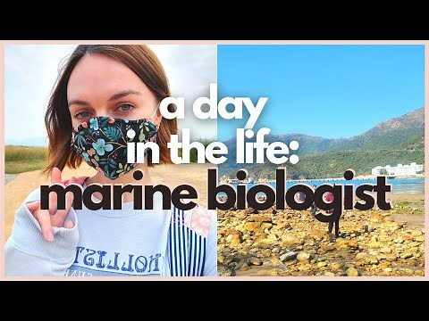 What does a marine biologist do? A day in the life of a Marine Biologist | remote sensing fieldwork