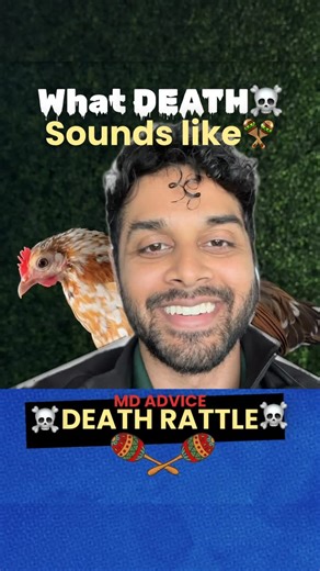 Dr. Mevan Happawana, MD on Instagram: "What Death ACTUALLY sounds like☠️ The death rattle — a common sound heard near the end of life. In this short medical explanation, Dr. Happawana MD breaks down what causes the death rattle, what it means physiologically, and why it is usually more distressing for families than for the patient. Palliative care. Not personal medical advice. For education only. #MD #DoctorExplains #MedicineinaMinute #HealthTips #Wellness #MedEd #ReelTips #Mevan #DeathRattle #T