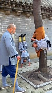 165K views · 5.8K reactions | Shaolin Monk training students at Shaolin Temple #KungFu | Wing Chun News | Facebook