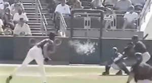 72K views · 517 reactions | 21 Years Ago Today. Randy Johnson vs. Bird | Twelve | Facebook