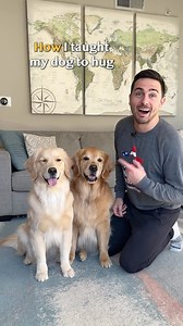 1.1M views · 84K reactions | How I taught my dogs to hug! We’re launching a free puppy course soon. Follow @thehapco for updates  #goldenretrieverlife #dog #training #tutorial #hug #bffs | Ellie Golden Life | Facebook