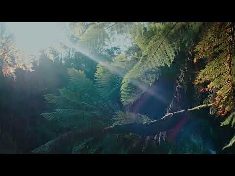 Relaxing Nature 4K 2 hours Handpan Meditation Malte Marten Changeofcolours 3