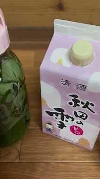 美白化粧水作り方-抗菌抗炎症作用も-ドクダミ&日本酒#食べられる野草 #自然大好き #edibleplants #美肌 #美白 #保湿 #wildplants