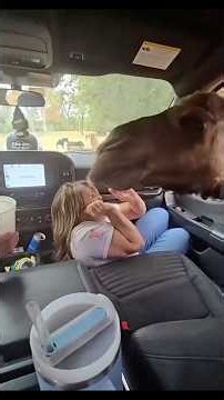 petting zoo gone bad