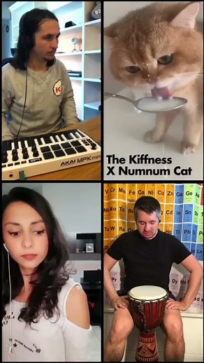The Kiffness X NumNum Cat X Violin X African Drum