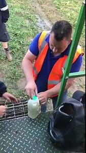 45K views · 229 reactions | How not to open milk.     Note to self: When a milk container's lid folds back in, CPR is not the way to go.  Janiene Newland | Farmers Guardian | Facebook