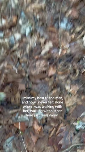 #sadwelder #thebestsheddog