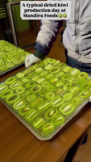 Order Premium Dried Kiwi from Mandira Foods