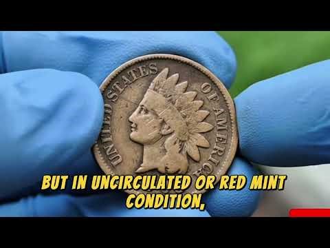1905 Indian Head Penny Value – Rare One Cent Worth Up to $1,000! 🪙
